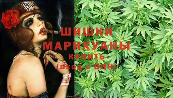 скорость Белокуриха